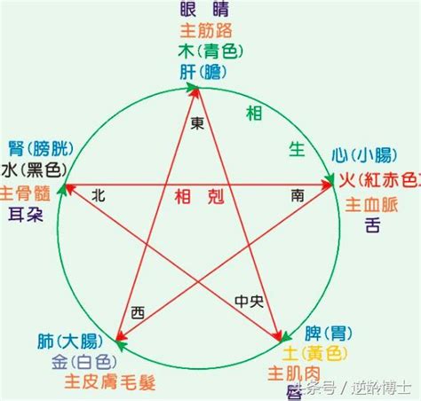 五行人測驗|我的五行屬性